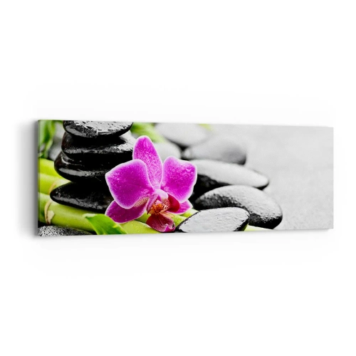 Obraz na plátne - V pokojnej rovnováhe - 90x30 cm