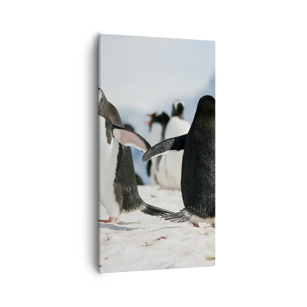 Obraz na plátne - Tanec na snehu - 55x100 cm