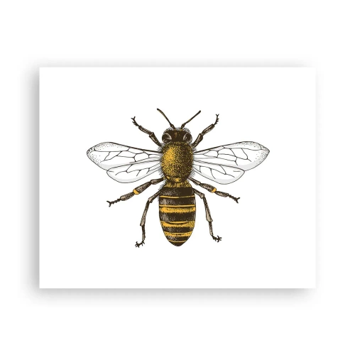 Plagát - Krásna a dobrá - 50x40 cm