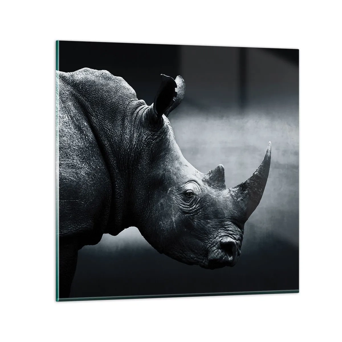 Obraz na skle - Pravý profil - 50x50 cm