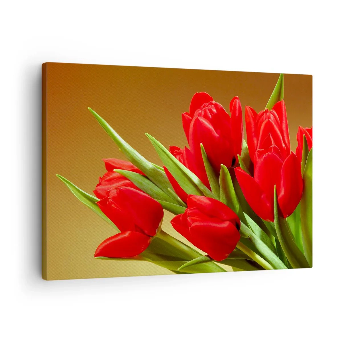 Obraz na plátne - Kytica červených tulipánov na zlatom pozadí so zelenými listami. - 70x50cm - Púčik jarnej radosti - Moderná nástenná dekorácia do obývacej izby a spálne ARTTOR