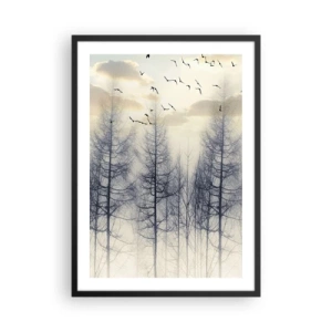 Plagát v čiernom ráme - Hmlistý les s vysokými stromami a lietajúcimi vtákmi ráno - 50x70cm - Duchovia lesa - Moderná nástenná dekorácia do obývacej izby a spálne ARTTOR