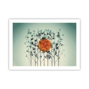 Plagát - Japonské slnko - 70x50 cm