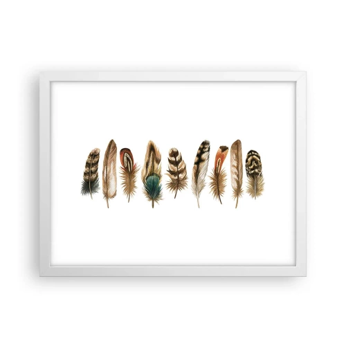 Plagát v bielom ráme - Operená variácia - 40x30 cm