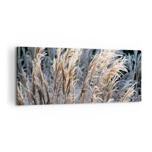 Obraz na plátne - Mrazom pokryté - 120x50 cm