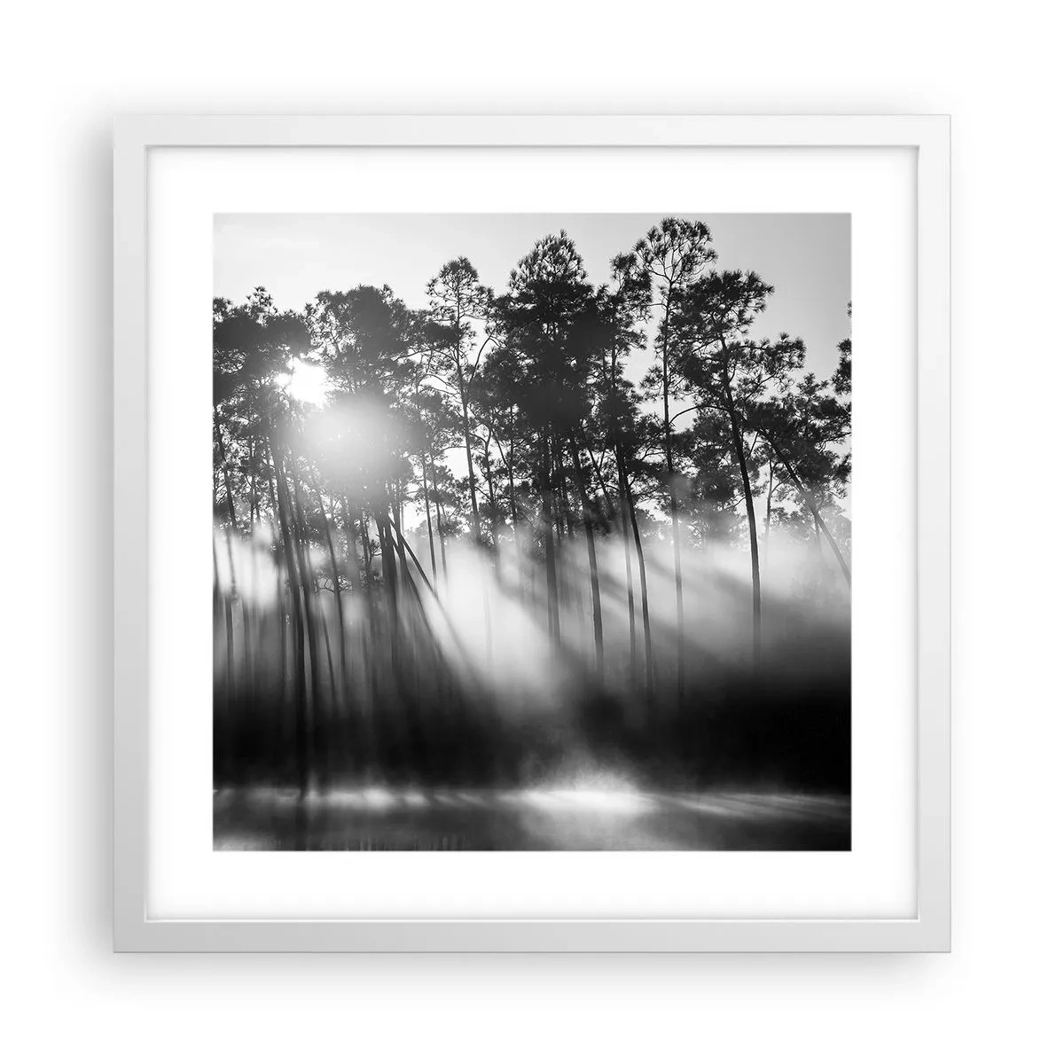 Plagát v bielom ráme - Nezastaviteľné slnko - 40x40 cm