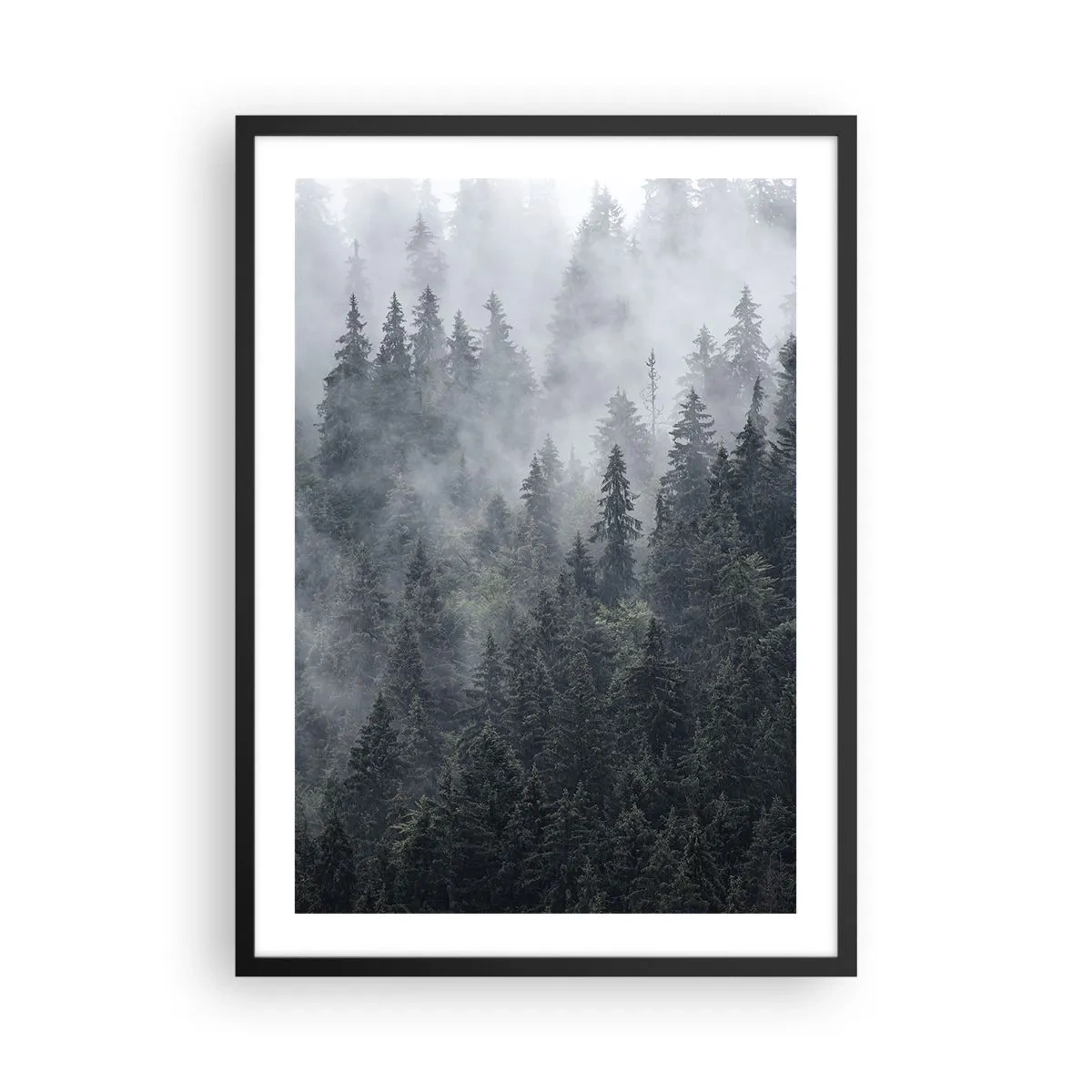 Plagát v čiernom ráme - Hmlistý les s vysokými ihličnatými stromami - 50x70cm - Lesné svitania - Moderná nástenná dekorácia do obývacej izby a spálne ARTTOR