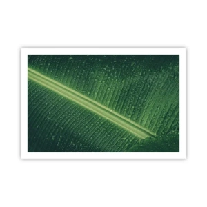 Plagát - Štruktúra zelenej - 91x61 cm