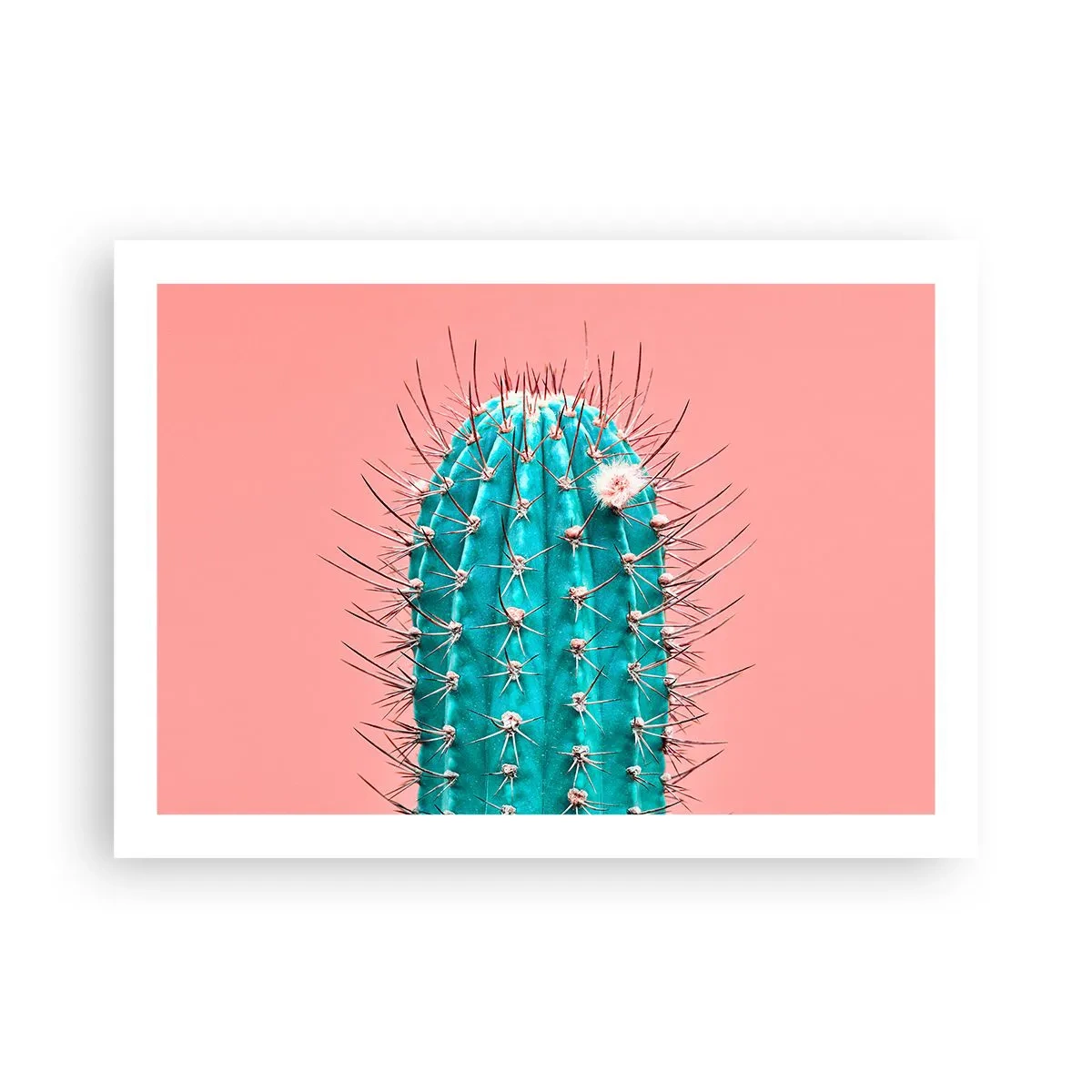 Plagát - Len pozeraj - 70x50 cm