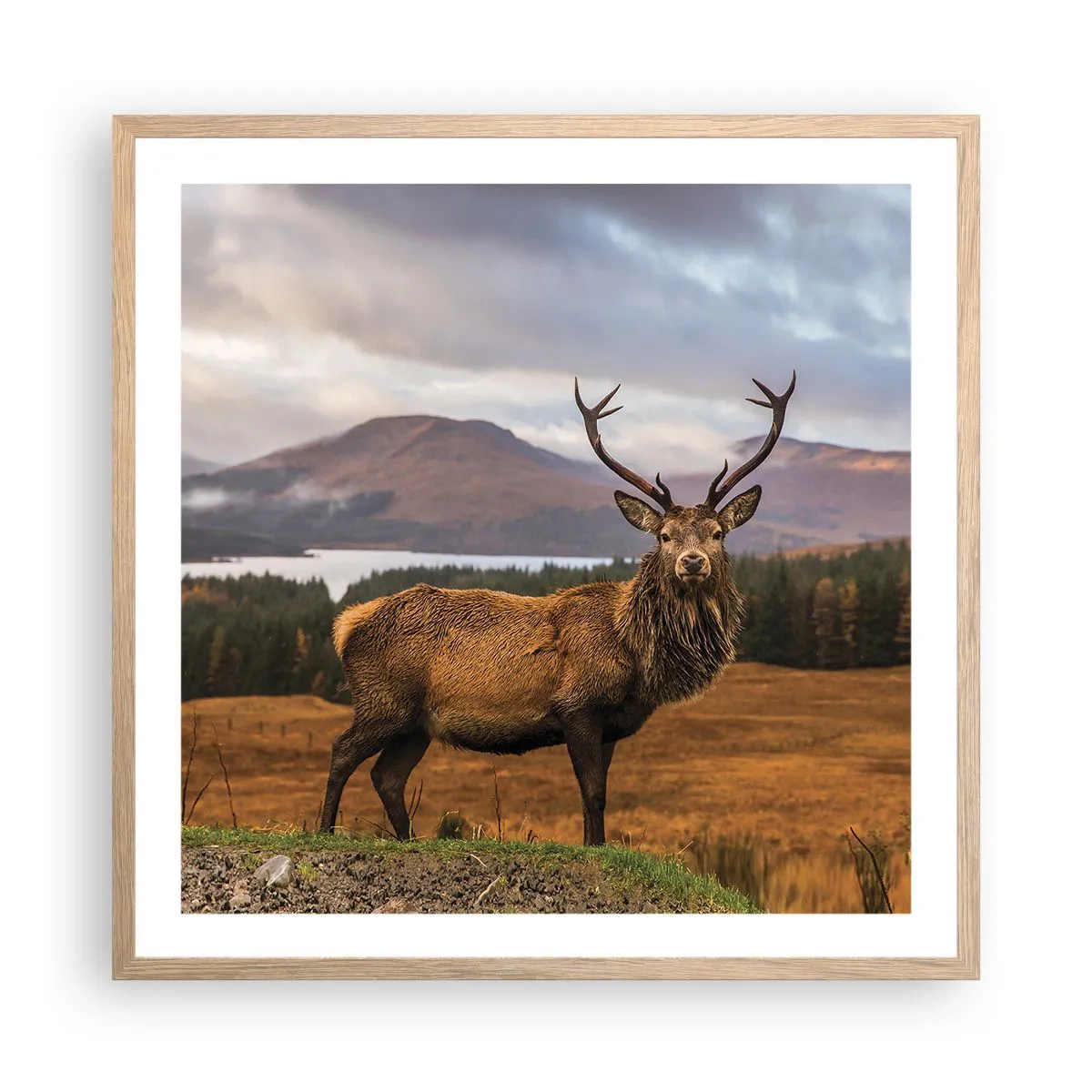 Plagát v ráme zo svetlého duba - Majestát prírody - 60x60 cm
