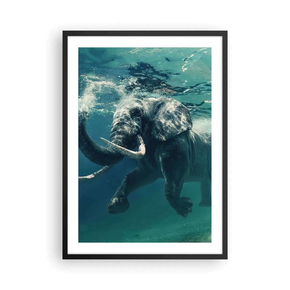 Plagát v čiernom ráme - Slon plávajúci v tyrkysovej vode - 50x70cm - Všetci radi plávajú - Moderná nástenná dekorácia do obývacej izby a spálne ARTTOR