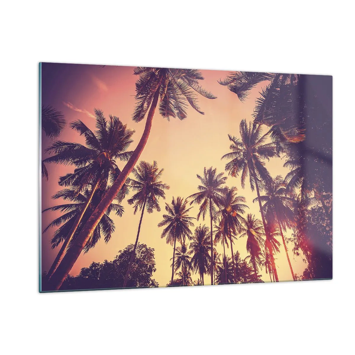 Obraz na skle - Tropická variácia - 120x80 cm