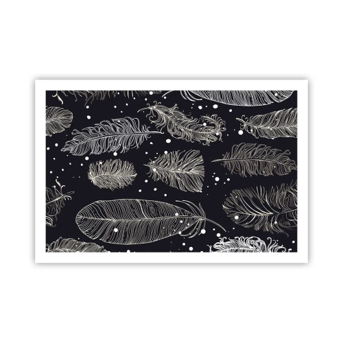 Plagát - Čipka s perím - 91x61 cm