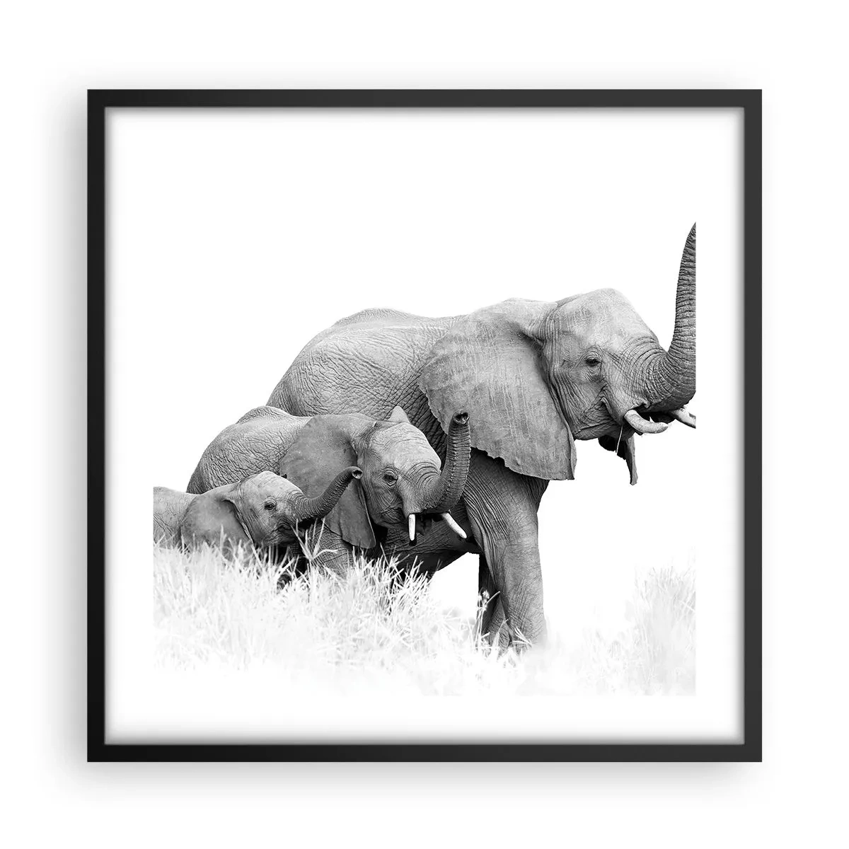 Plagát v čiernom ráme - Jedna, dve, tri - 50x50 cm