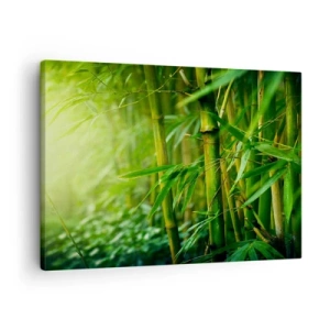 Obraz na plátne - Zelený bambusový les v mäkkom svetle - 70x50cm - Poznať samotnú zeleň - Moderná nástenná dekorácia do obývacej izby a spálne ARTTOR