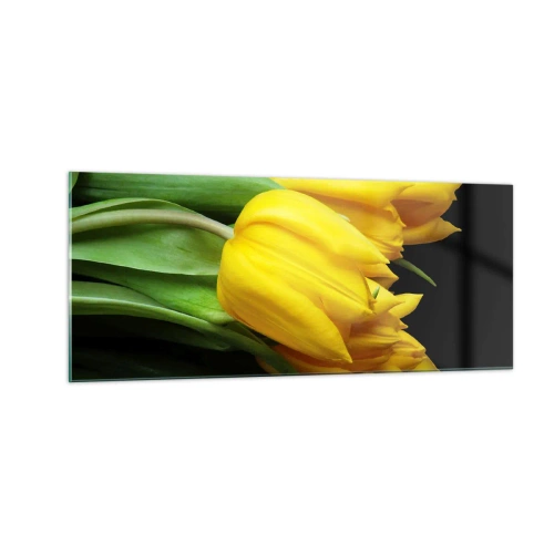 Obraz na skle - Vznikli z čistého slnka - 100x40 cm