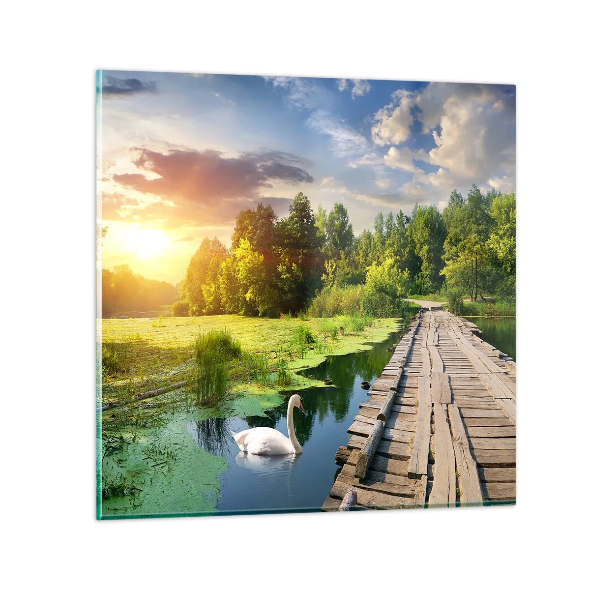 Obraz na skle - Leto, leto všade - 50x50 cm