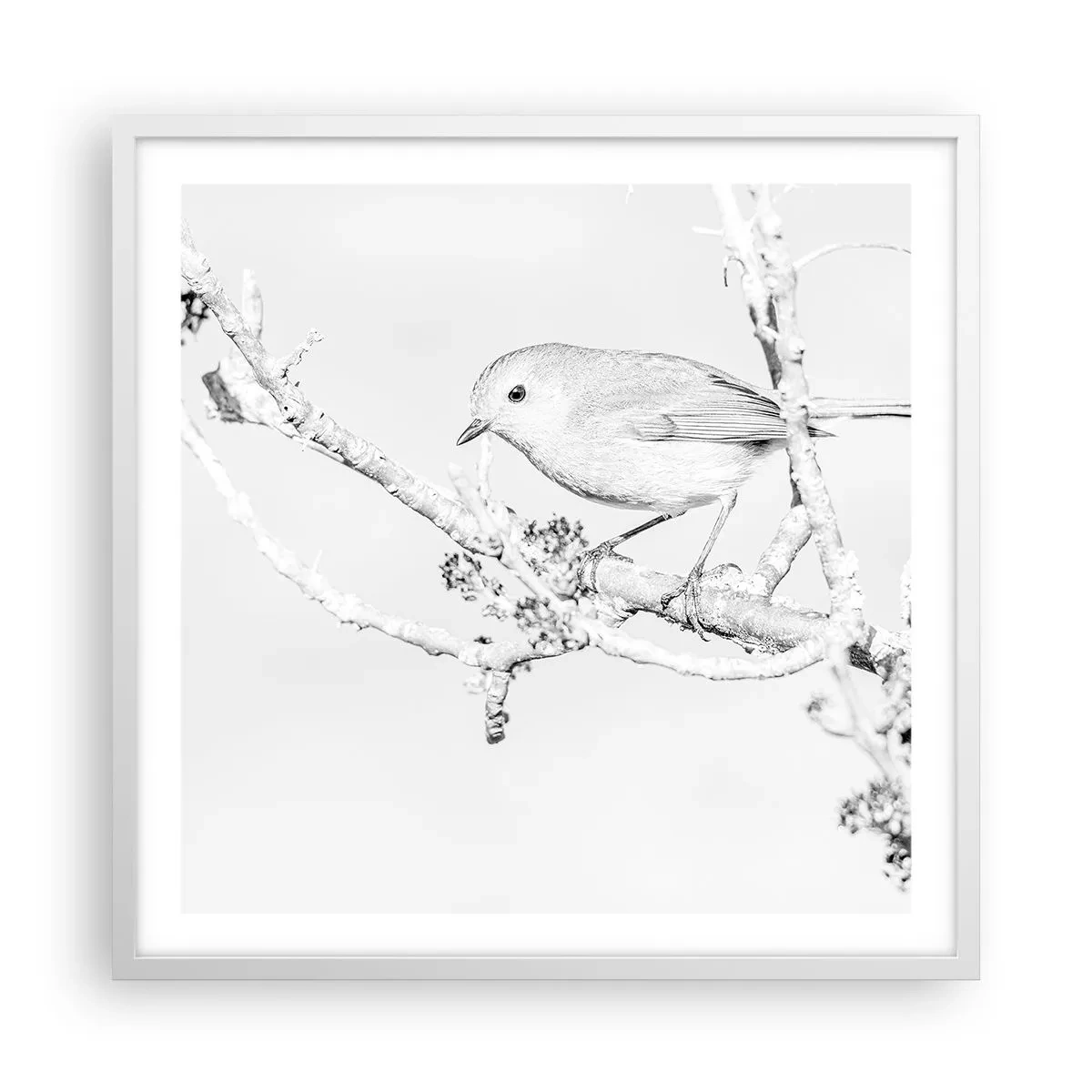 Plagát v bielom ráme - Zimné ráno - 60x60 cm
