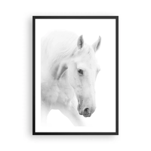Plagát v čiernom ráme - Portrét bieleho koňa v minimalistickom štýle - 50x70cm - Je to priateľstvo…? - Moderná nástenná dekorácia do obývacej izby a spálne ARTTOR