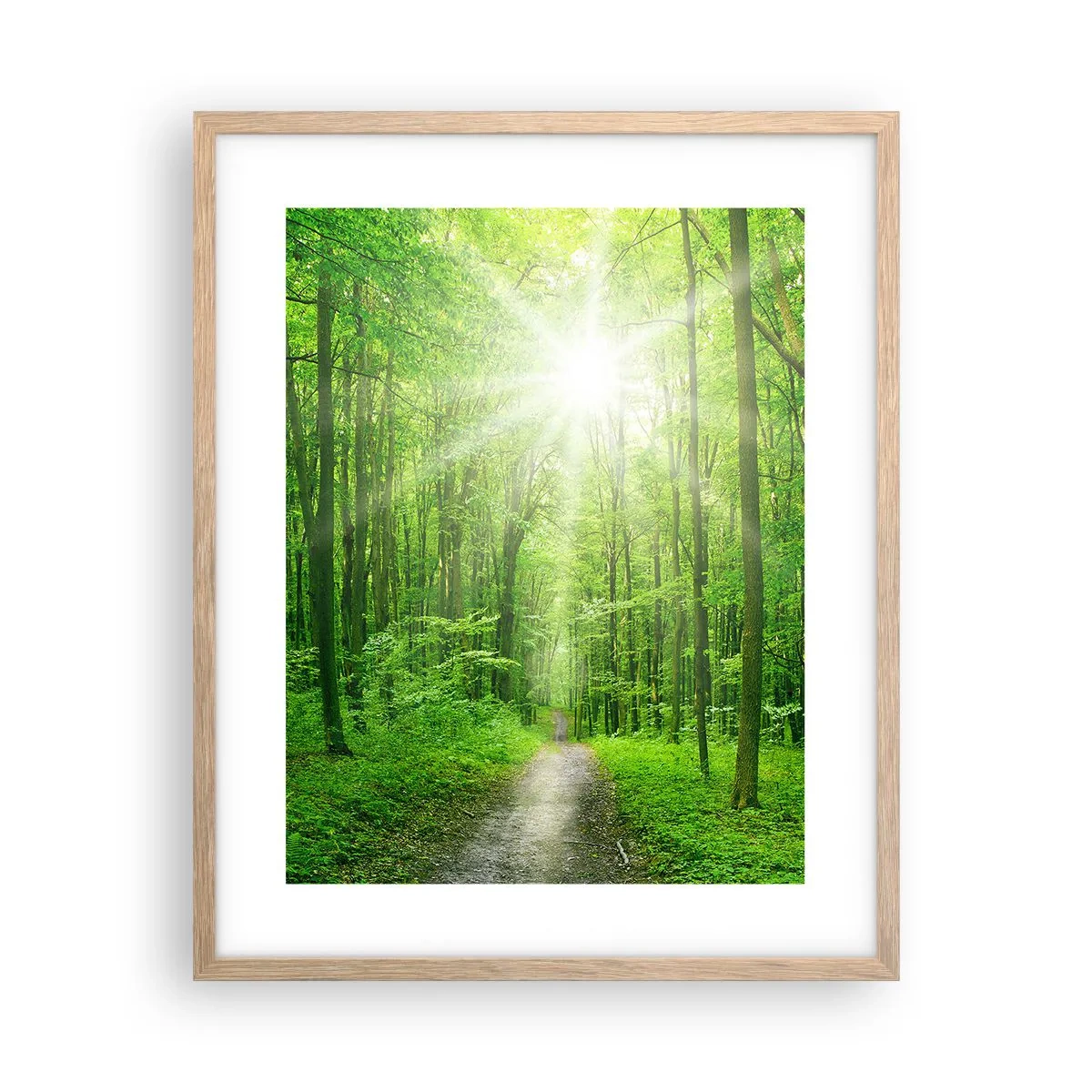 Plagát v ráme zo svetlého duba - Zelená katedrála - 40x50 cm