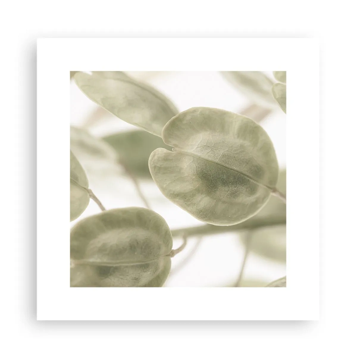 Plagát - Na začiatku bolo lístie… - 30x30 cm