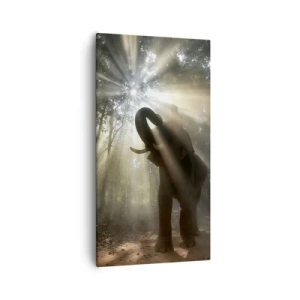 Obraz na plátne - Pod šťastnou hviezdou - 55x100 cm