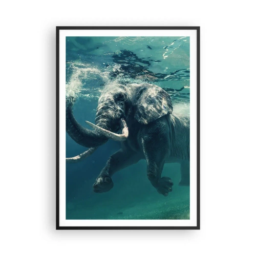 Plagát v čiernom ráme - Všetci radi plávajú - 70x100 cm