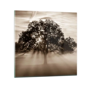 Obraz na skle - Strom správ samotného dobra - 60x60 cm