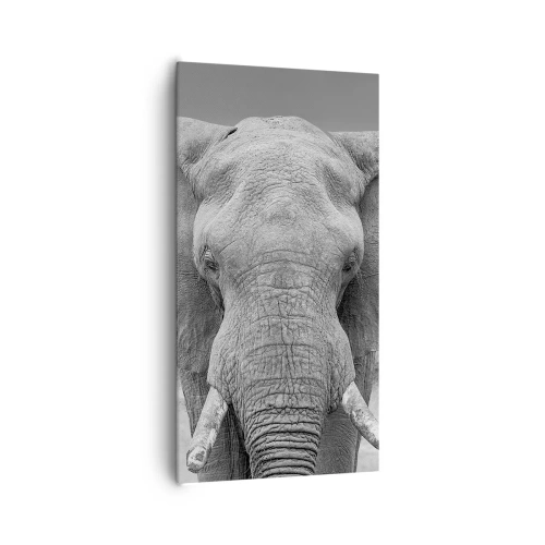 Obraz na plátne - Vitajte v mojom svete - 65x120 cm