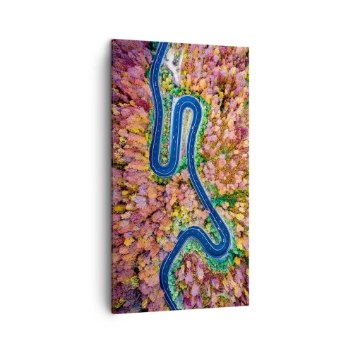 Obraz na plátne - Kľukatá cesta lesom - 45x80 cm