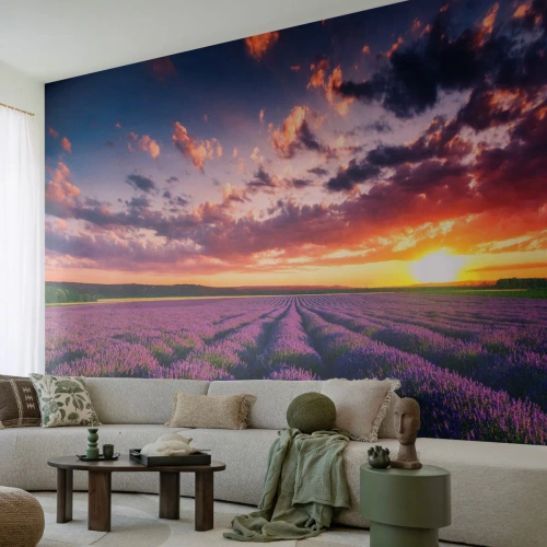 Fototapeta Premium Canvas - Levanduľový svet - Krajina, Levanduľové pole, Levanduľa - 100x70 cm