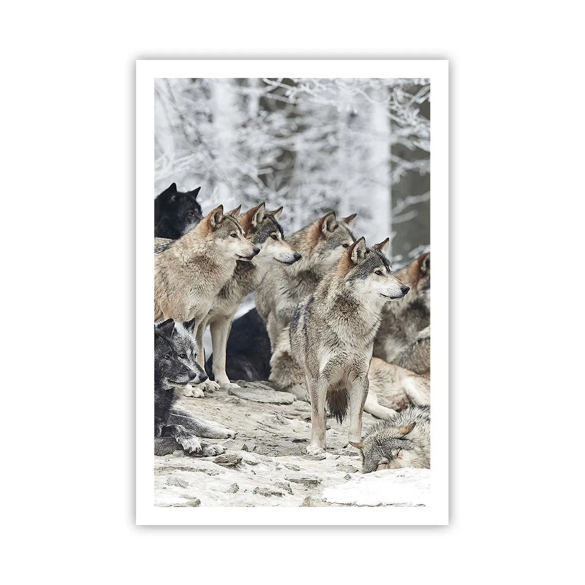 Plagát - Rodina a priatelia - 61x91 cm