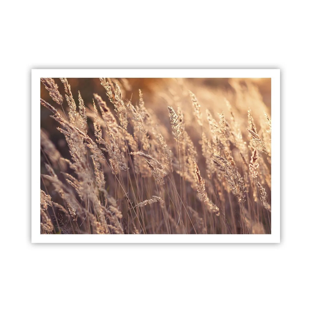 Plagát - Pripravení privítať jeseň - 100x70 cm