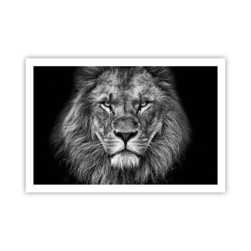 Plagát - V korunovačnom odeve - 91x61 cm