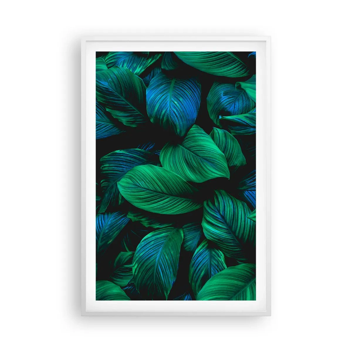 Plagát v bielom ráme - V zelenom dave - 61x91 cm