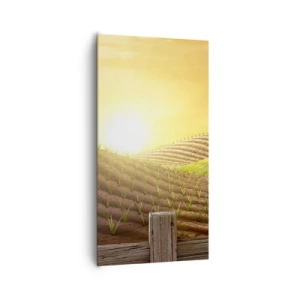 Obraz na plátne - Farma ako z rozprávky - 65x120 cm