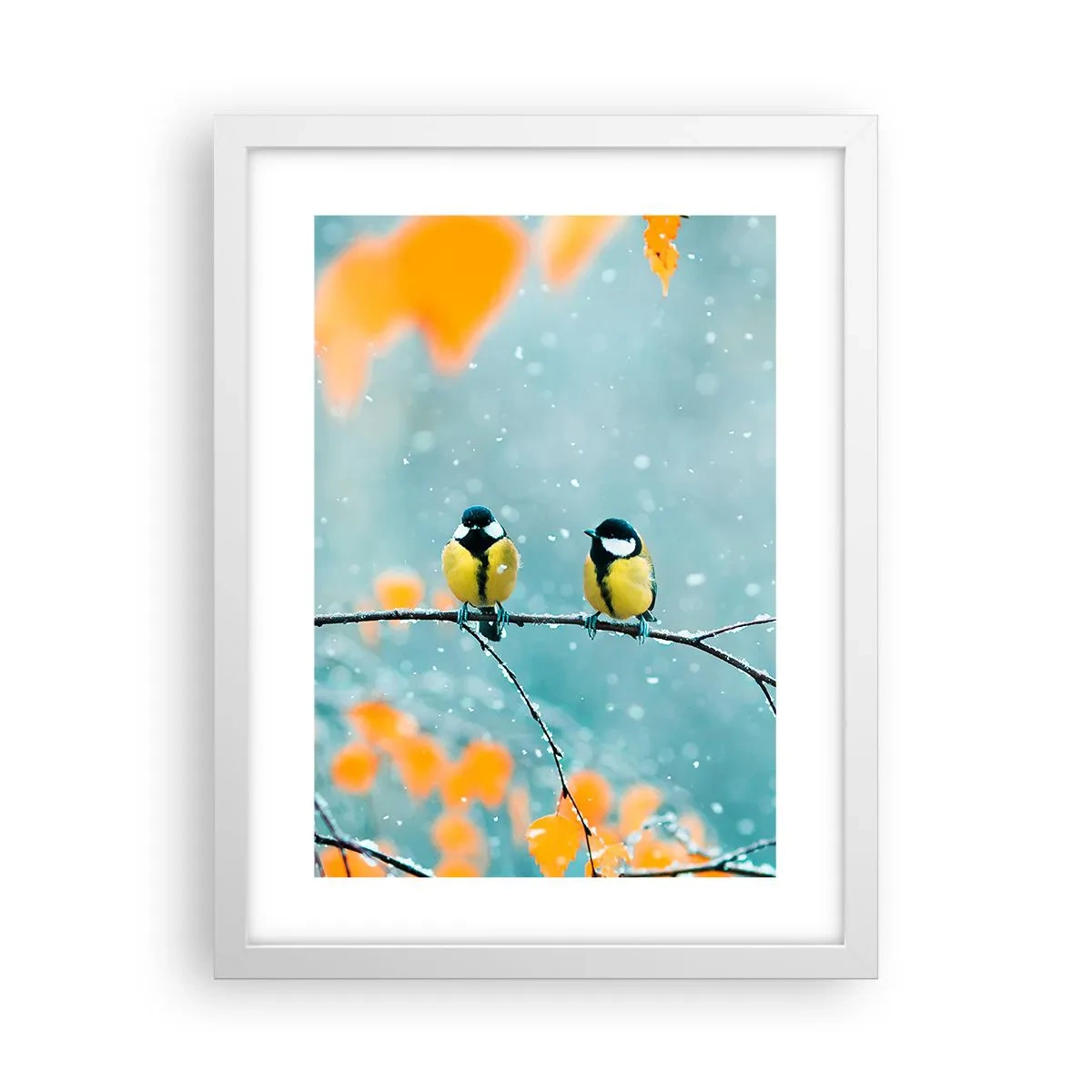 Plagát v bielom ráme - Vtáčie klebety - 30x40 cm