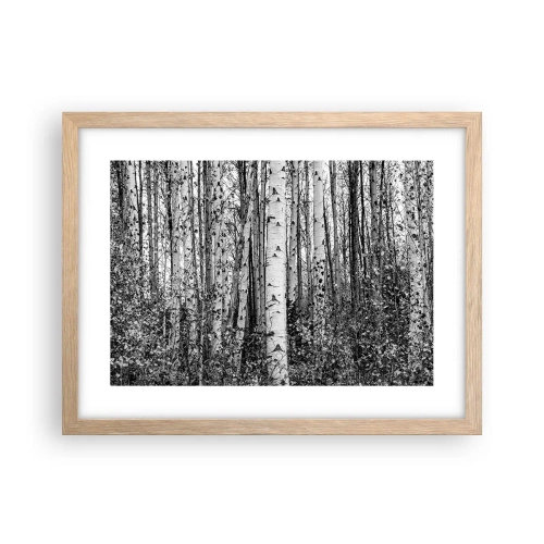 Plagát v ráme zo svetlého duba - Brezová kolonáda - 40x30 cm