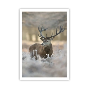 Plagát - Svieže ráno - 70x100 cm