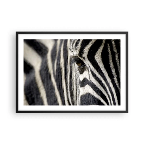 Plagát v čiernom ráme - Portrét s pruhmi - 70x50 cm
