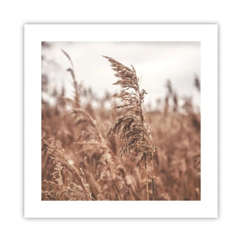 Plagát - Na poliach už je jeseň - 40x40 cm