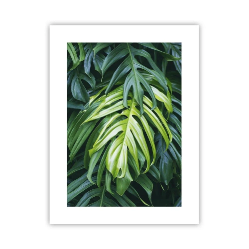 Plagát - Ponoriť sa do sviežosti - 30x40 cm