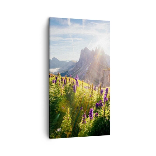 Obraz na plátne - Tajomný život bylín - 45x80 cm