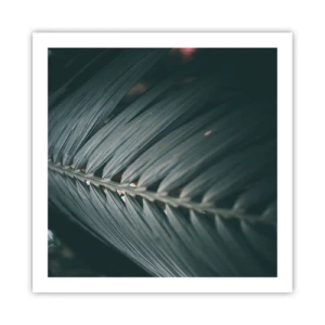 Plagát - Presnosť prírody - 60x60 cm