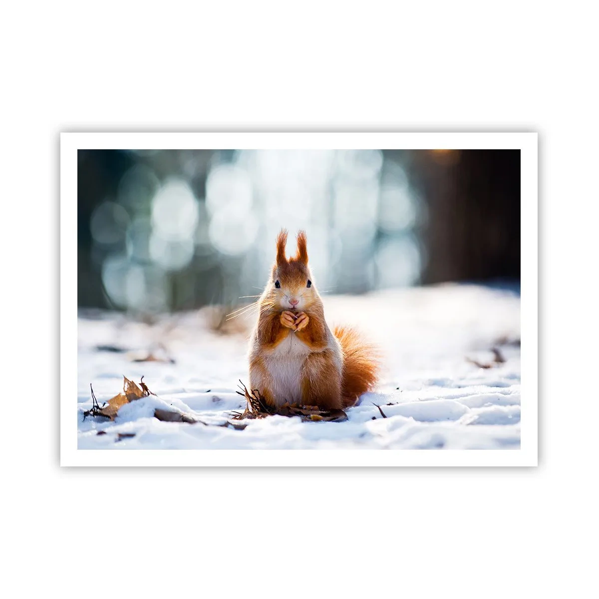 Plagát - Čo sa tak pozeráš? - 100x70 cm