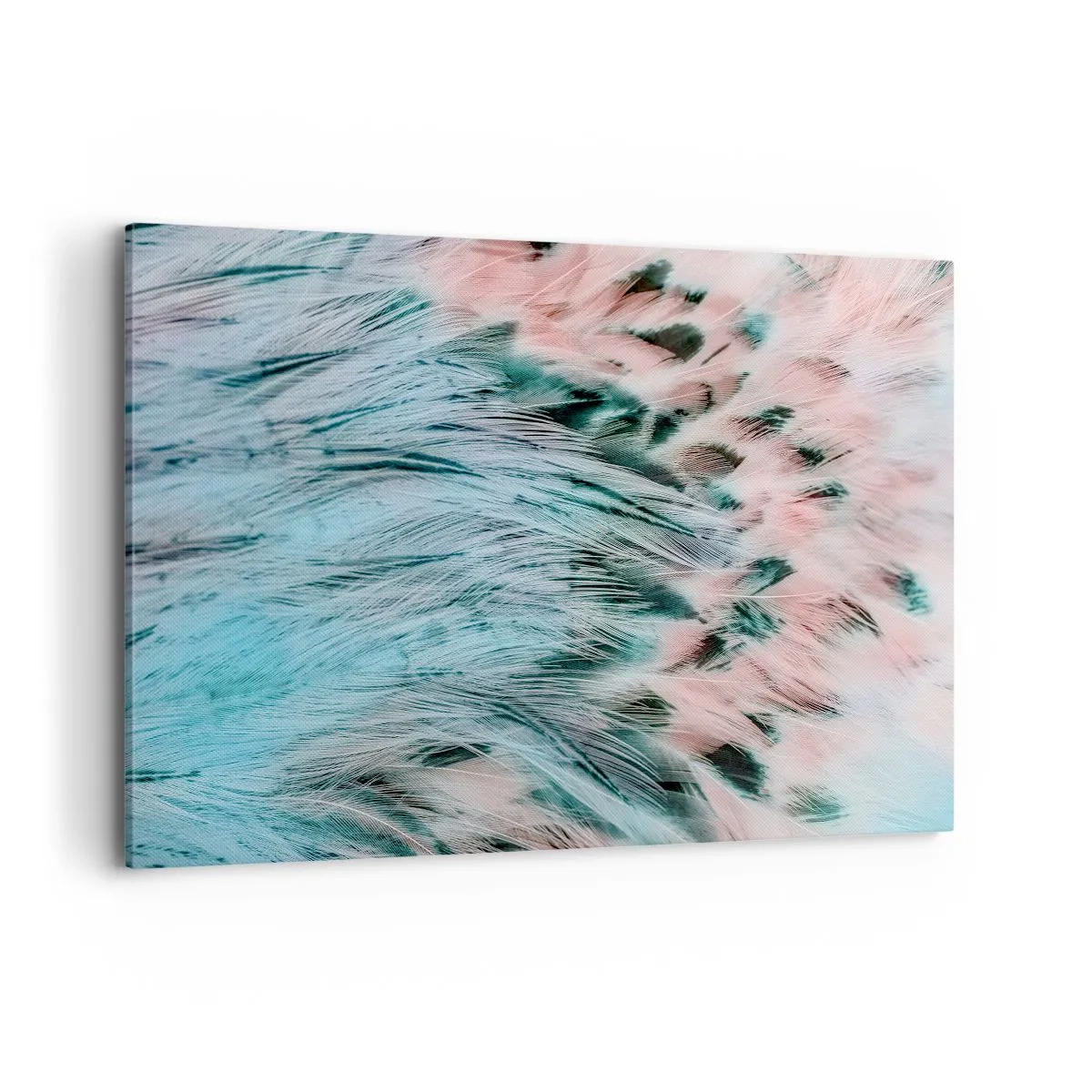 Obraz na plátne - Zafírovo ružové páperie - 120x80 cm