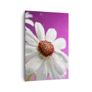 Obraz na plátne - Skromný vo svojej kráse - 70x100 cm