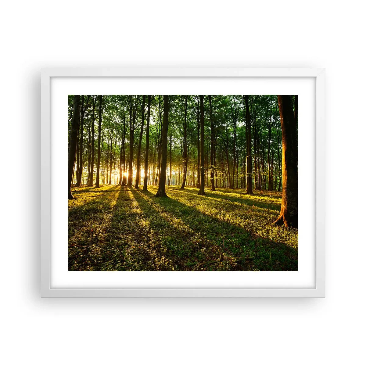 Plagát v bielom ráme - Fotografie všetkých jarí - 50x40 cm