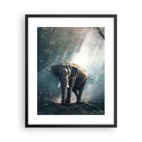 Plagát v čiernom ráme - Pokojná prechádzka - 40x50 cm