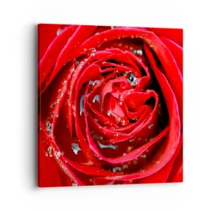 Obraz na plátne - V kvapkách rosy - 40x40 cm